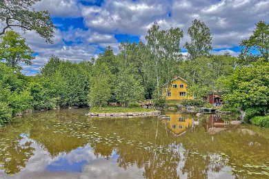 Dammen vid Forsby kvarn Idyllisk damm vid Forsby kvarn.