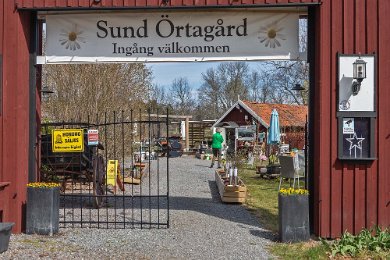 Sund Örtgård Sund örtagård drivs av Heidi och Mikael Sund i det gamla trädgårdsmästeriet vid herrgården Säby på Aspö. Gårdskaféet har generöst med sittplatser både ute i...