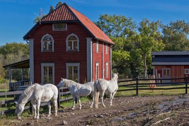 Rockelstad slott hästar 151009