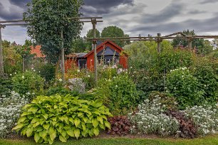 Engelska rabatten ”Engelska rabatten” en. s.k herbaceous border, en upprepningsrabatt med låga växter längst fram och högre bakom som en hyllning till Gertrude Jekyll (konstnär...