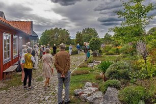 Promenadsamling Samling inför rundvandringen i trägården.