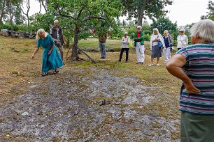 Skördeverktyg Olika skördeverktyg demonstreras på ängen som under våren blåfärgas av blommande jungfrulin (Polygala vulgaris).